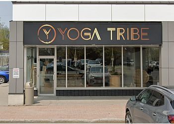 Photo of STUDIO YOGA TRIBE, Yoga Flow, Warm Yoga Flow and Power Yoga, Ashtanga, Restorative Mat Asana, Aerial Power, Aerial Yoga, Flow Tribe &amp; Yin Tribe in GATINEAU