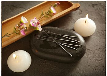 Photo of SUN BIRD ACUPUNCTURE & TRADITIOANL HERBS CLINIC LLC, Acupuncture specialist