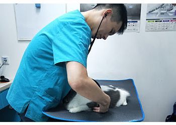 Photo of THE VETERINARY CLINIC, Veterinary clinics specialist