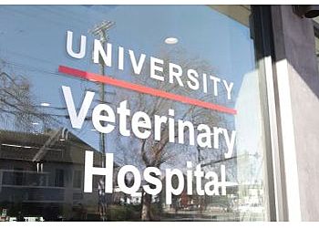 Photo of UNIVERSITY VET HOSPITAL, Veterinary clinics specialist