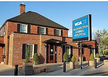 Photo of VCA ALEXANDRIA ANIMAL HOSPITAL, Acupuncture, Wellness Exams, Dentistry, Weight Management Program, Routine Surgeries Full Diagnostics, In House Endoscopy, Intensive Care, Parasite Control, Ultrasound, Preventive Medicine, Digital Radiology, Microchipping, Endoscopy, Orthopedic and Soft Tissue Surgery, Pain Management &amp; Spays/Neuters in ALEXANDRIA