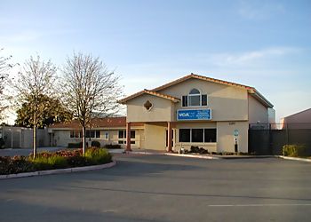 Photo of VCA ALL PETS ANIMAL HOSPITAL, Veterinary clinics specialist