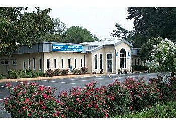 Photo of VCA BOULEVARD ANIMAL HOSPITAL, Veterinary clinics specialist