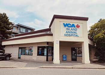 Photo of VCA CANADA ISLAND ANIMAL HOSPITAL, Veterinary clinics specialist