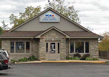 Photo of VCA FOSTER PARK ANIMAL HOSPITAL, Veterinary clinics specialist