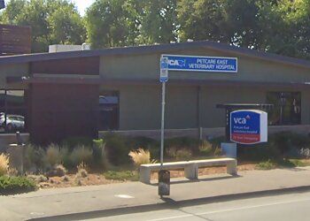 Photo of VCA PETCARE EAST VETERINARY HOSPITAL, Primary Care, Specialty Care, Preventive Care, Dental Care, General Surgery, Geriatric Medicine, New Kitten and New Puppy Packages, Oncology, Internal Medicine, Diagnostic Imaging and Radiology, Emergency and Critical Care &amp; Surgery in SANTA ROSA