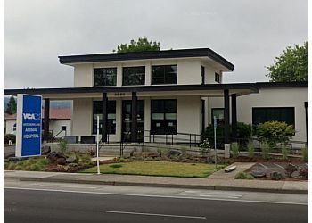 Photo of VCA WESTMORELAND ANIMAL HOSPITAL, Veterinary clinics specialist