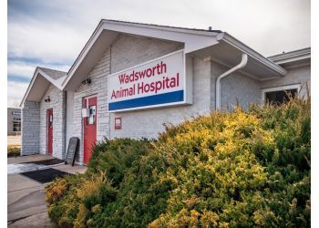 Photo of WADSWORTH ANIMAL HOSPITAL, Senior Pet Care, Wellness Exams, Spay/Neuter, Advanced Diagnostics, Emergency, Pet Radiology, Nutrition, Dental, Surgery, Acupuncture, Healthy Dietary, Dermatology, Puppy And Kitten Care, Vaccinations, Microchip Identification, Dermatology &amp; Exercise Plan in LAKEWOOD