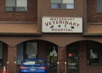 Photo of WATERBURY VETERINARY HOSPITAL, Veterinary clinics specialist