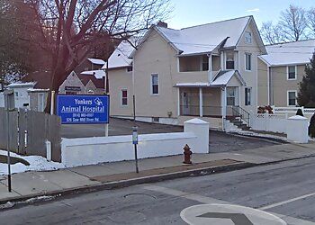Photo of YONKERS ANIMAL HOSPITAL, Veterinary clinics specialist