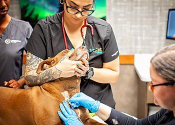 Clinic photo/Office of Dr. 1ST PET VETERINARY CENTERS