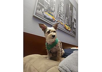 Clinic photo/Office of Dr. 303 ANIMAL CLINIC