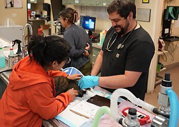 Clinic photo/Office of Dr. ABBY PET HOSPITAL