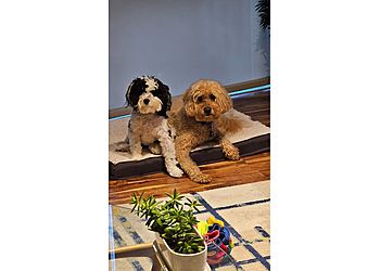 Clinic photo/Office of Dr. AEROWOOD ANIMAL HOSPITAL