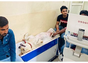 Clinic photo/Office of Dr. AKASH VETS