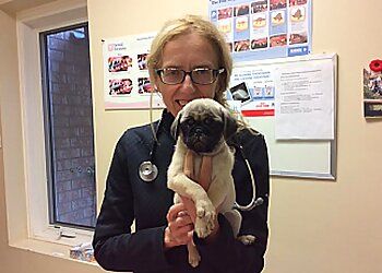 Clinic photo/Office of Dr. ALBION HILLS VETERINARY HOSPITAL