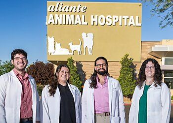 Clinic photo/Office of Dr. ALIANTE ANIMAL HOSPITAL