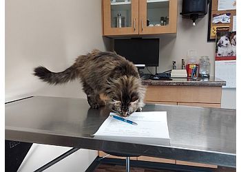 Clinic photo/Office of Dr. ALL CITY PET CARE EAST