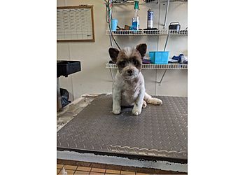 Clinic photo/Office of Dr. ALL CREATURES PET HOSPITAL