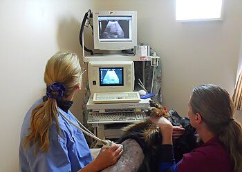 Clinic photo/Office of Dr. ALLENTOWN ANIMAL CLINIC