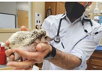 Clinic photo/Office of Dr. ALPINE HOSPITAL FOR ANIMALS