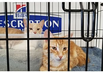 Clinic photo/Office of Dr. ANIMAL CARE CLINIC &amp; HOSPITAL