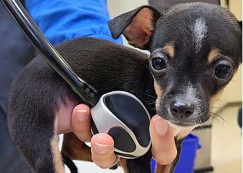Clinic photo/Office of Dr. ANIMAL CARE CLINIC