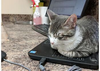 Clinic photo/Office of Dr. ANIMAL EMERGENCY CLINIC OF DURHAM REGION