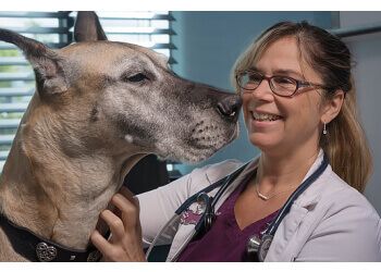 Clinic photo/Office of Dr. ANIMAL EMERGENCY CLINIC OF THE FRASER VALLEY