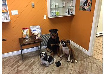 Clinic photo/Office of Dr. ANIMAL HEALTH CLINIC