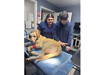 Clinic photo/Office of Dr. ANIMAL HOUSE VETERINARY CLINIC