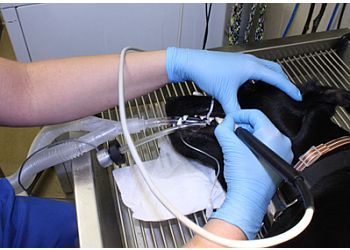 Clinic photo/Office of Dr. ANIMAL MEDICAL CENTER