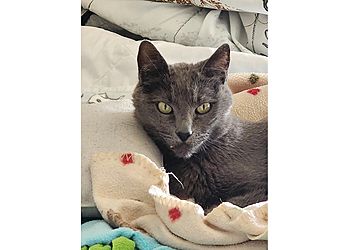 Clinic photo/Office of Dr. ARAGON VETERINARY CLINIC INC