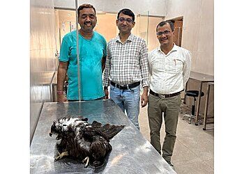 Clinic photo/Office of Dr. ASHRAY DOG CARE CLINIC