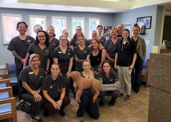 Clinic photo/Office of Dr. AVALON VETERINARY HOSPITAL