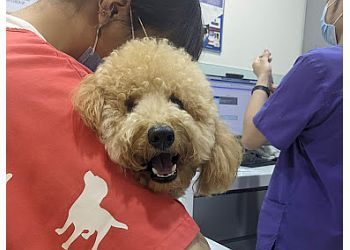 Clinic photo/Office of Dr. AVH ANIMAL ARK VETERINARY GROUP