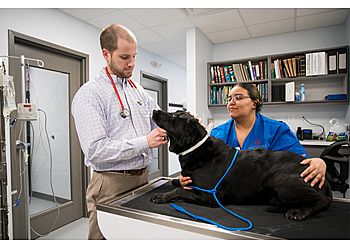 Clinic photo/Office of Dr. AVONDALE ANIMAL HOSPITAL