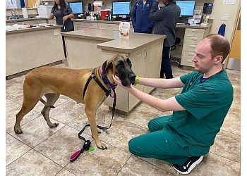 Clinic photo/Office of Dr. AZPETVET ROADRUNNER ANIMAL HOSPITAL &amp; GROOMING