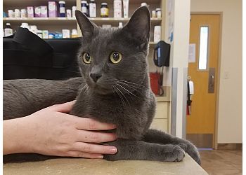 Clinic photo/Office of Dr. AZPETVET WESTBROOK ANIMAL HOSPITAL