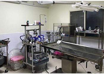 Clinic photo/Office of Dr. BANGALORE PET HOSPITAL