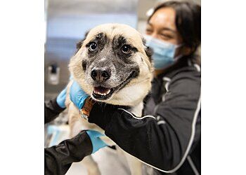 Clinic photo/Office of Dr. BAY CITIES PET HOSPITAL
