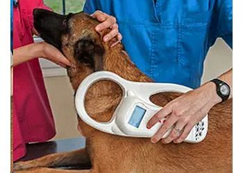 Clinic photo/Office of Dr. BAYVIEW ANIMAL HOSPITAL