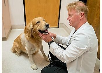 Clinic photo/Office of Dr. BEACON VETERINARY SPECIALISTS