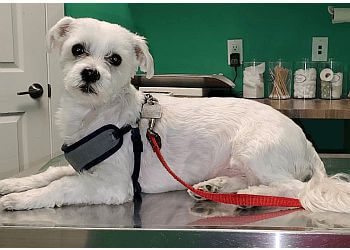 Clinic photo/Office of Dr. BEDDINGTON TRAIL ANIMAL HOSPITAL