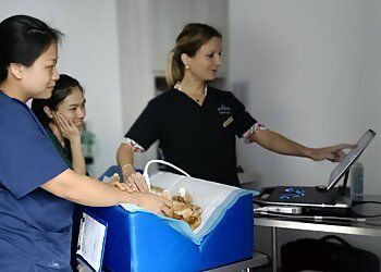 Clinic photo/Office of Dr. BEECROFT ANIMAL SPECIALIST &amp; EMERGENCY HOSPITAL