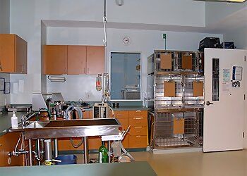 Clinic photo/Office of Dr. BEES FERRY VETERINARY HOSPITAL