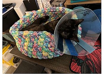 Clinic photo/Office of Dr. BELLWOOD ANIMAL HOSPITAL