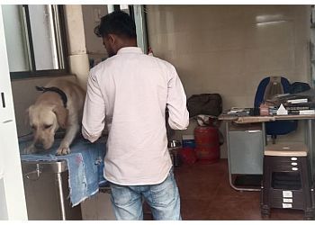 Clinic photo/Office of Dr. BHARAT PET CLINIC