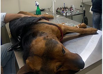 Clinic photo/Office of Dr. BHOW &amp; MEAW PET CLINIC &amp; SURGICAL CENTRE