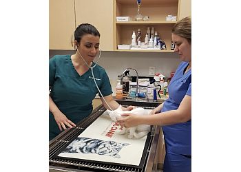 Clinic photo/Office of Dr. BINFORD PET WELLNESS CLINIC